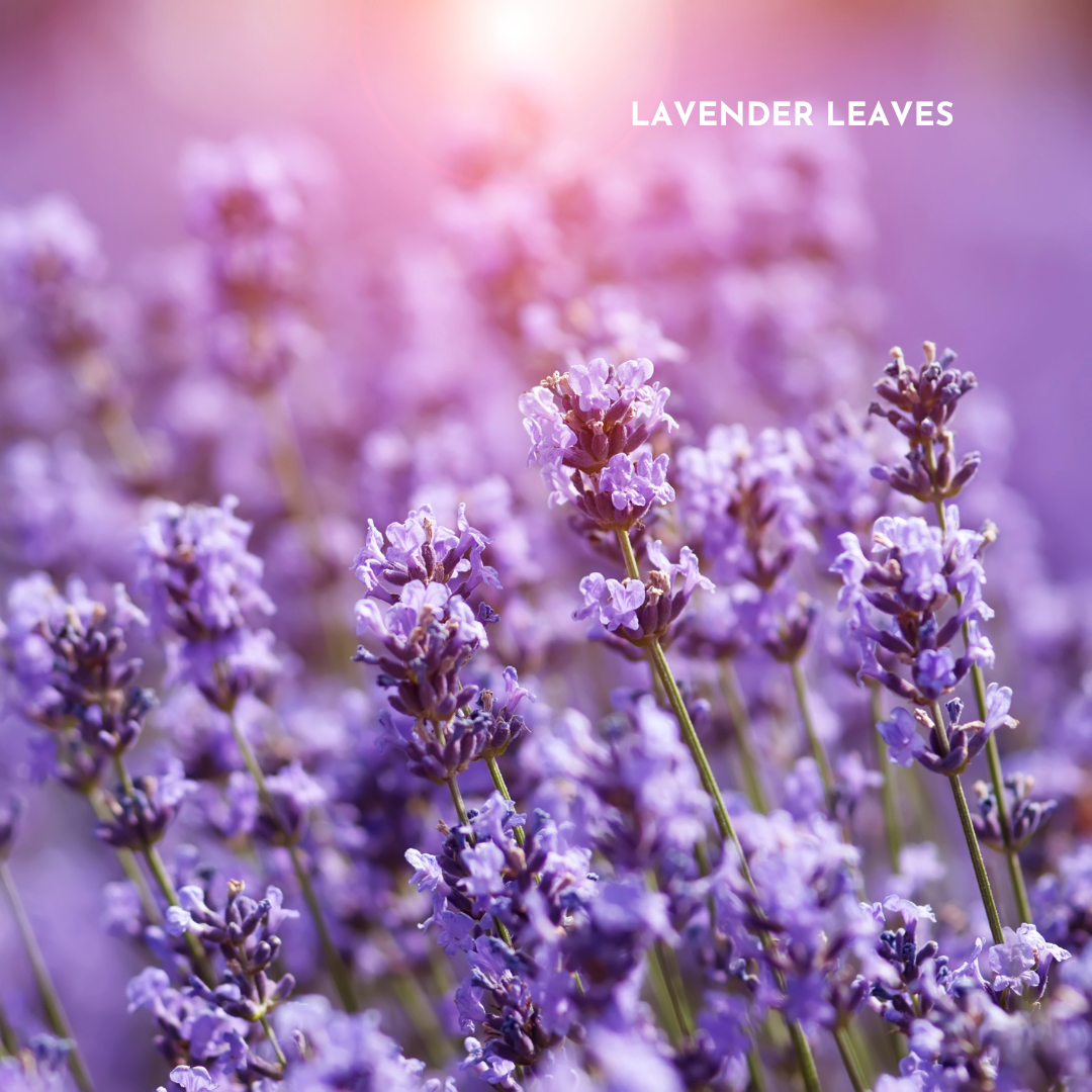 FlaxPack: Lavender & Flaxseed Hot & Cold-Compress