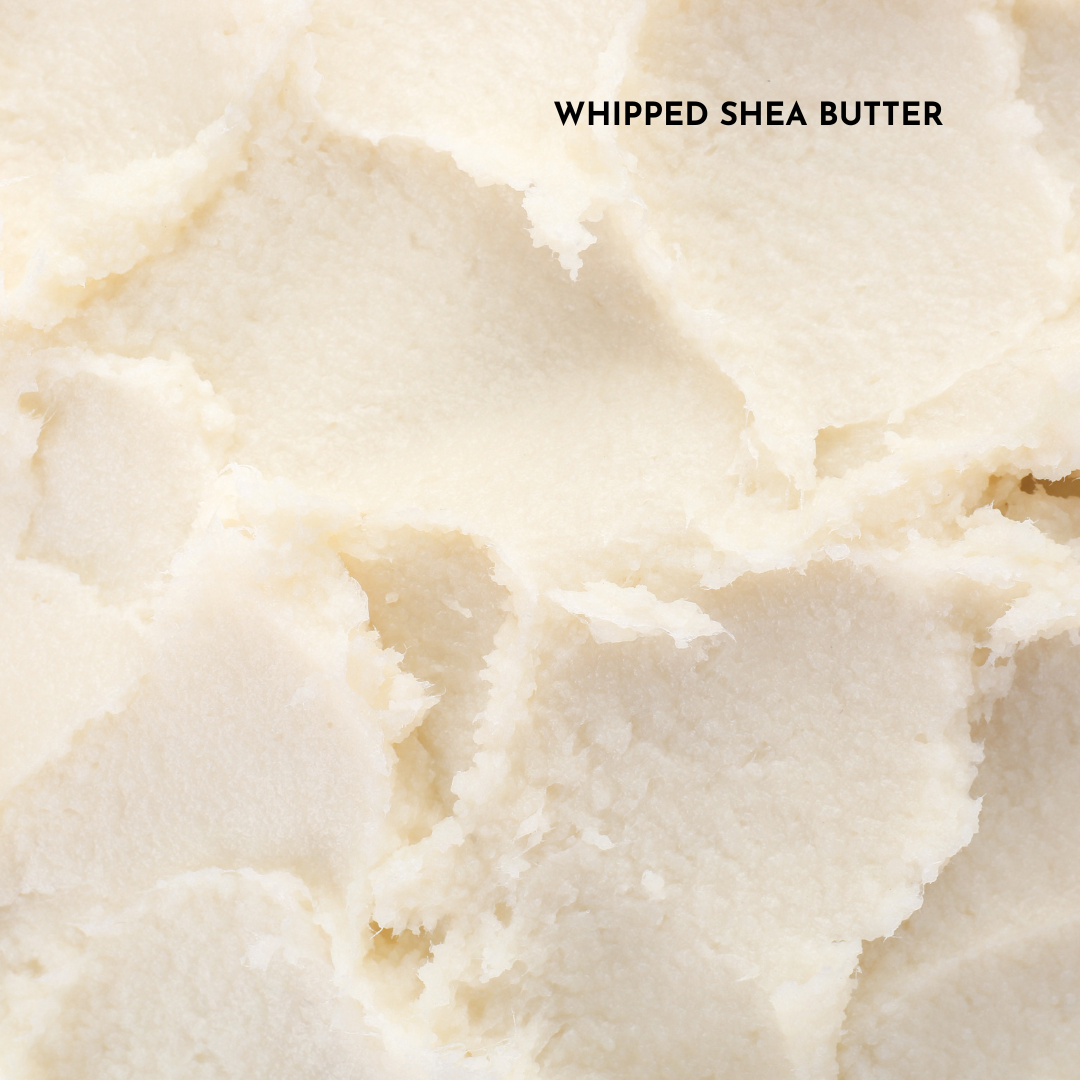 BodButter-whipped-shea-butter